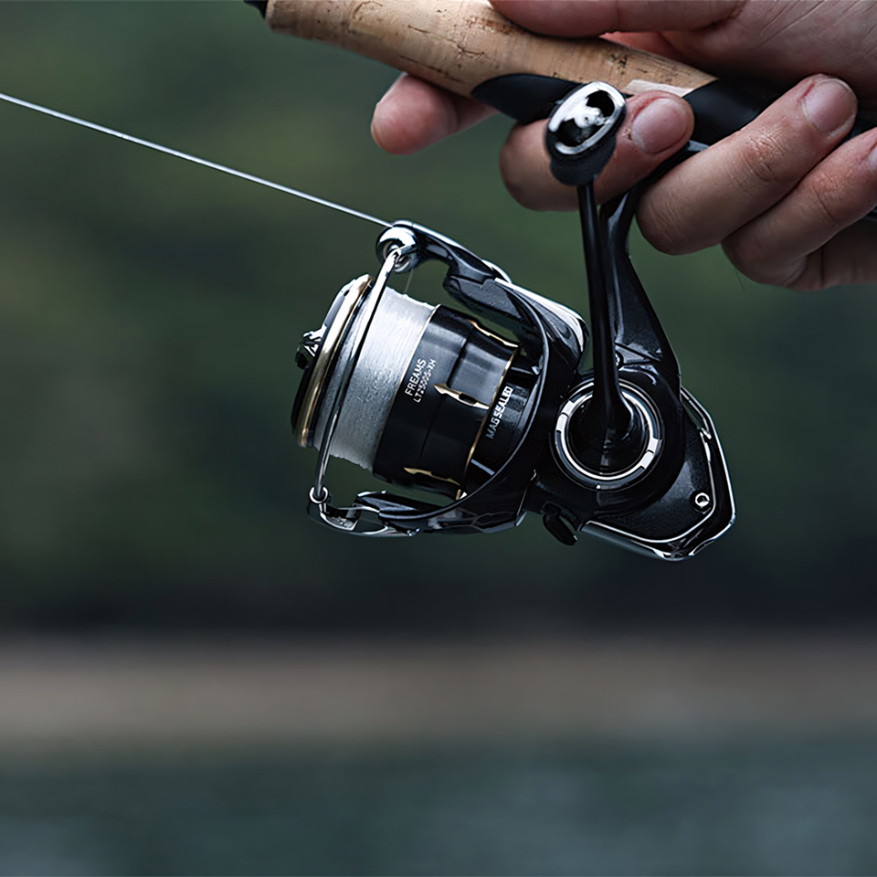DAIWA 2026 FREAMS Spinning Ree - Daiwa Reel Bg ulasan dan harga
